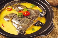 国内美食乌龟汤图片