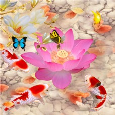 红莲鲤鱼戏装饰画
