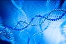 蓝色DNA分子结构图片