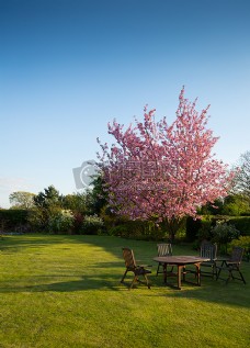 然花草风景自然天空花园草地草坪表树蓝色的天空椅子家具