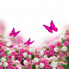树木蝴蝶与鲜艳的花朵图片