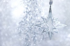 树枝与雪花图片