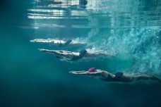游泳比赛的女子运动员图片